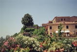 A picturesque view of a rustic Italian villa with a terracotta rooftop. Lush greenery and colorful flowers decorate the foreground, with a large tree rising prominently on a hill behind the house. The sky is clear and blue, adding to the serene atmosphere.