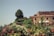 A picturesque view of a rustic Italian villa with a terracotta rooftop. Lush greenery and colorful flowers decorate the foreground, with a large tree rising prominently on a hill behind the house. The sky is clear and blue, adding to the serene atmosphere.