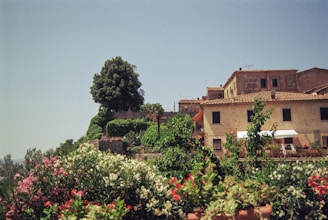 A picturesque view of a rustic Italian villa with a terracotta rooftop. Lush greenery and colorful flowers decorate the foreground, with a large tree rising prominently on a hill behind the house. The sky is clear and blue, adding to the serene atmosphere.