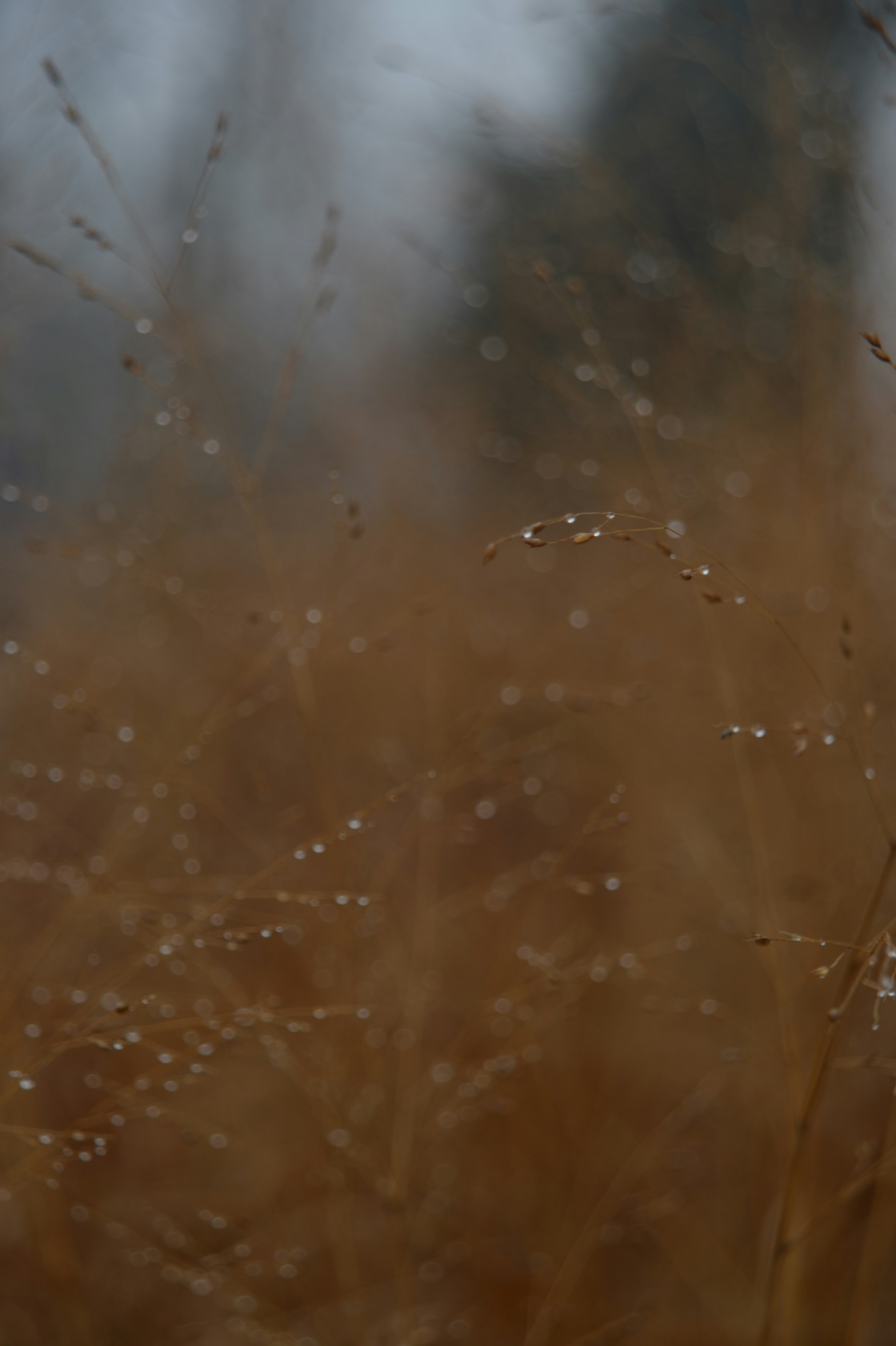 Photo by baliko_andras