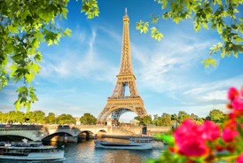 the eiffel tower towering over the city of paris