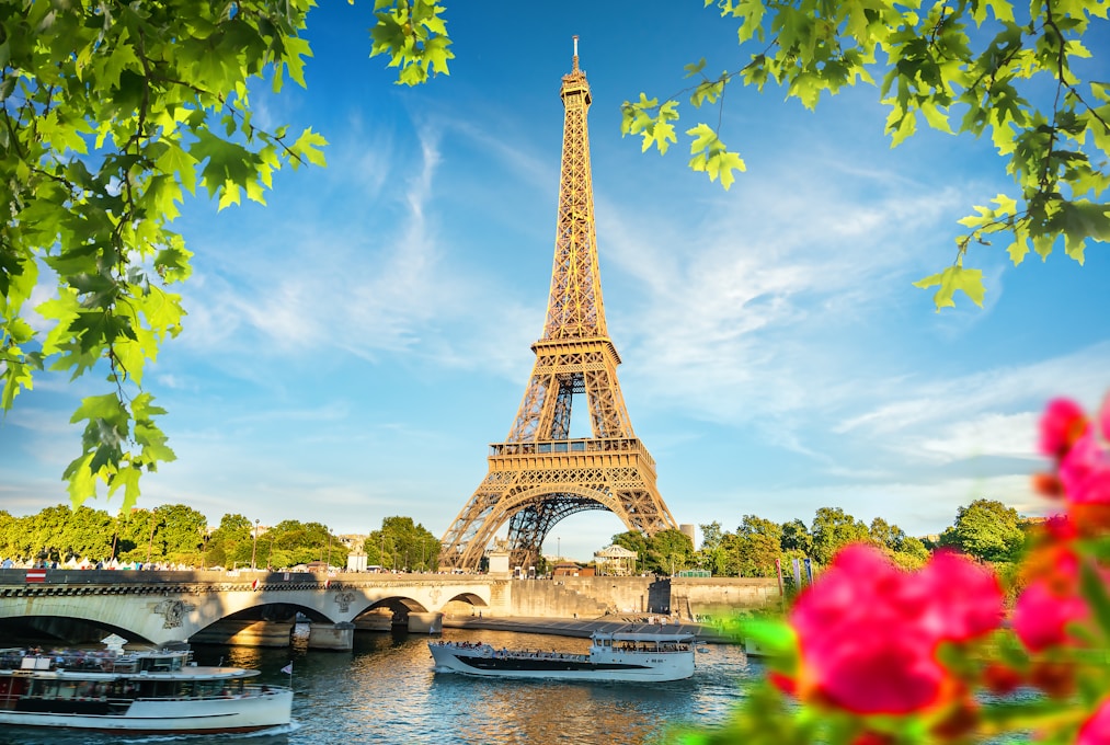 the eiffel tower towering over the city of paris