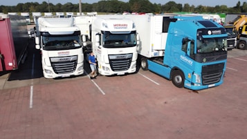 Several large trucks, including two white ones labeled 'Moraru Transport' and a blue one labeled 'Natanex', are parked in a paved lot. A person in a blue shirt stands near the white trucks. The area is surrounded by trees and additional vehicles can be seen in the background.