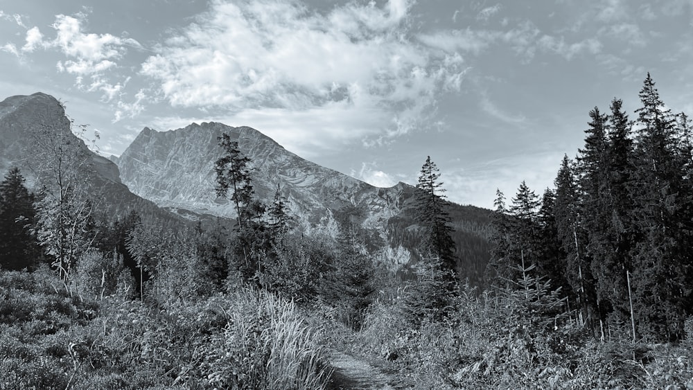 a black and white photo of a mountain range