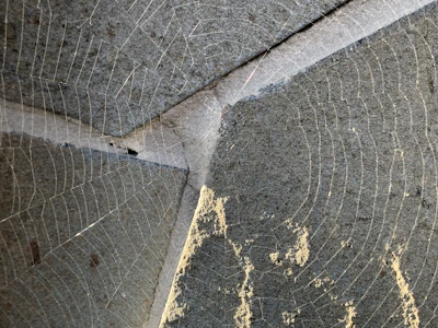 Before and after comparison of a garage corner free from spider webs.