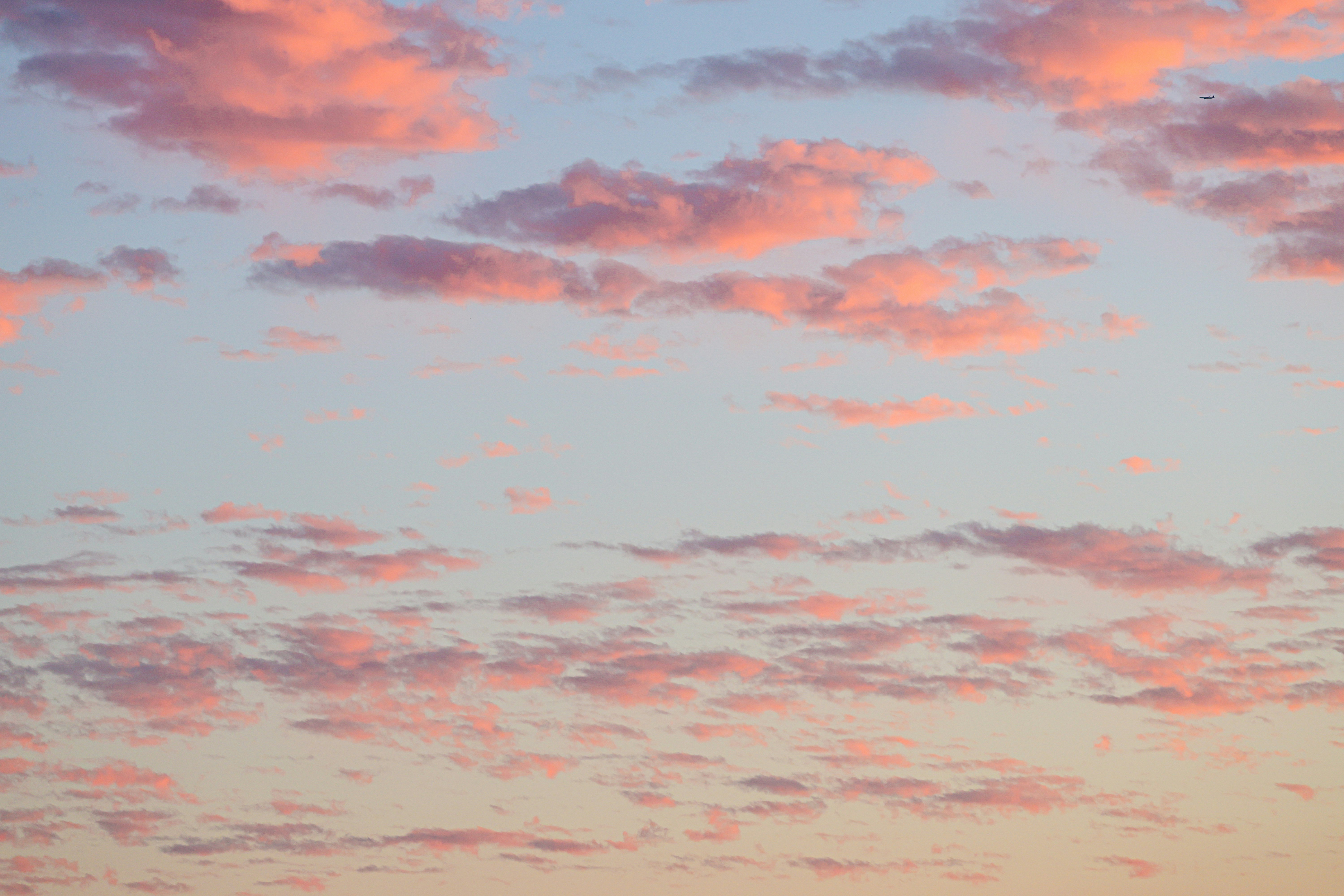 Photo by cestmoisheedy