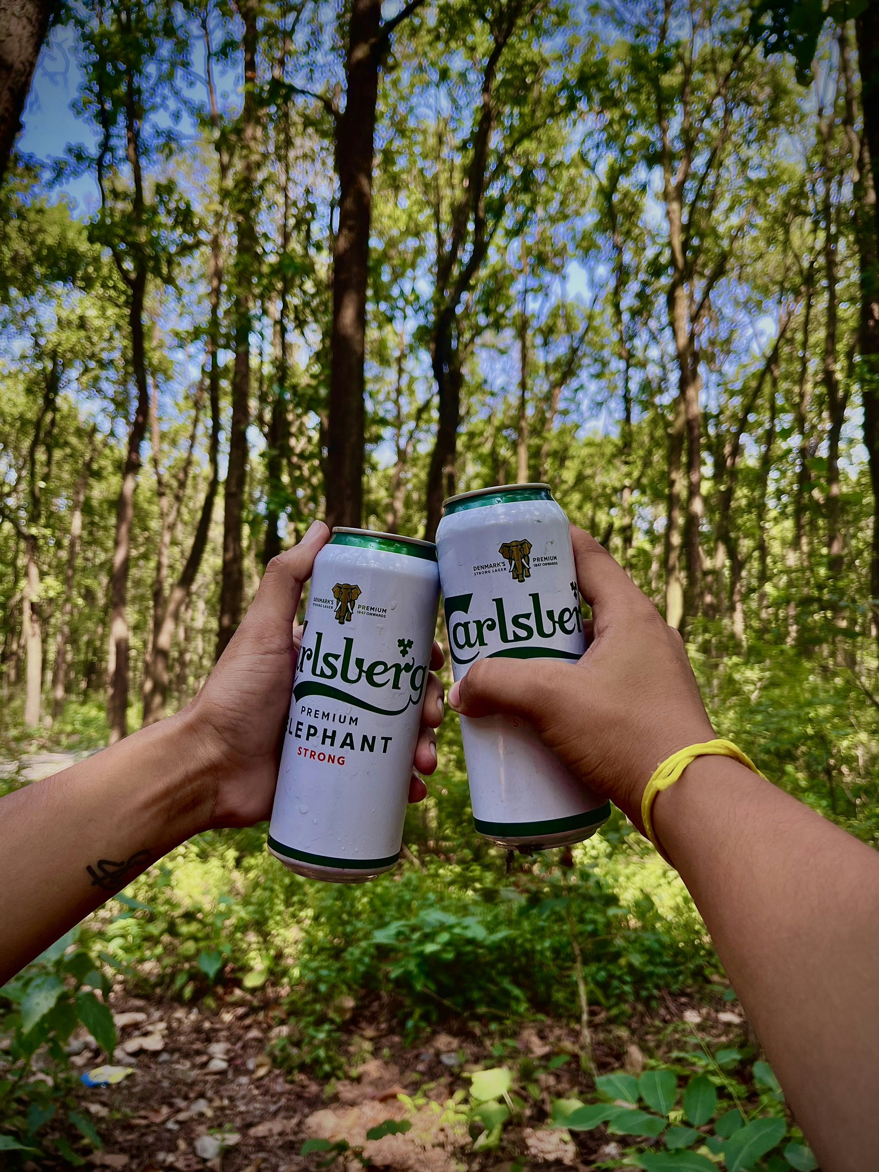 une personne tenant deux canettes de bière devant une forêt