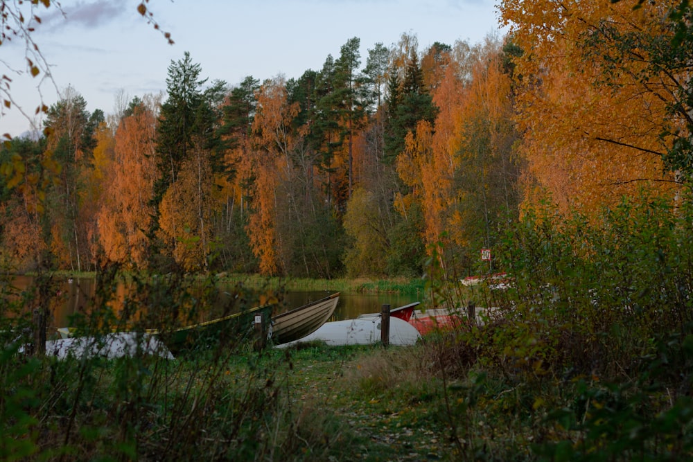 a boat sitting on top of a river next to a forest