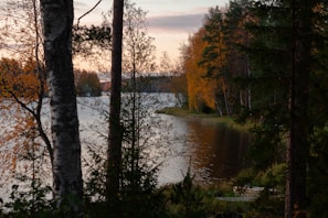 A peaceful lakeside scene with reflections of colorful autumn leaves on the water