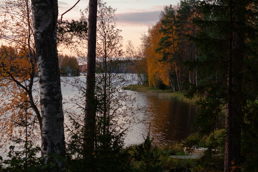 a body of water surrounded by trees