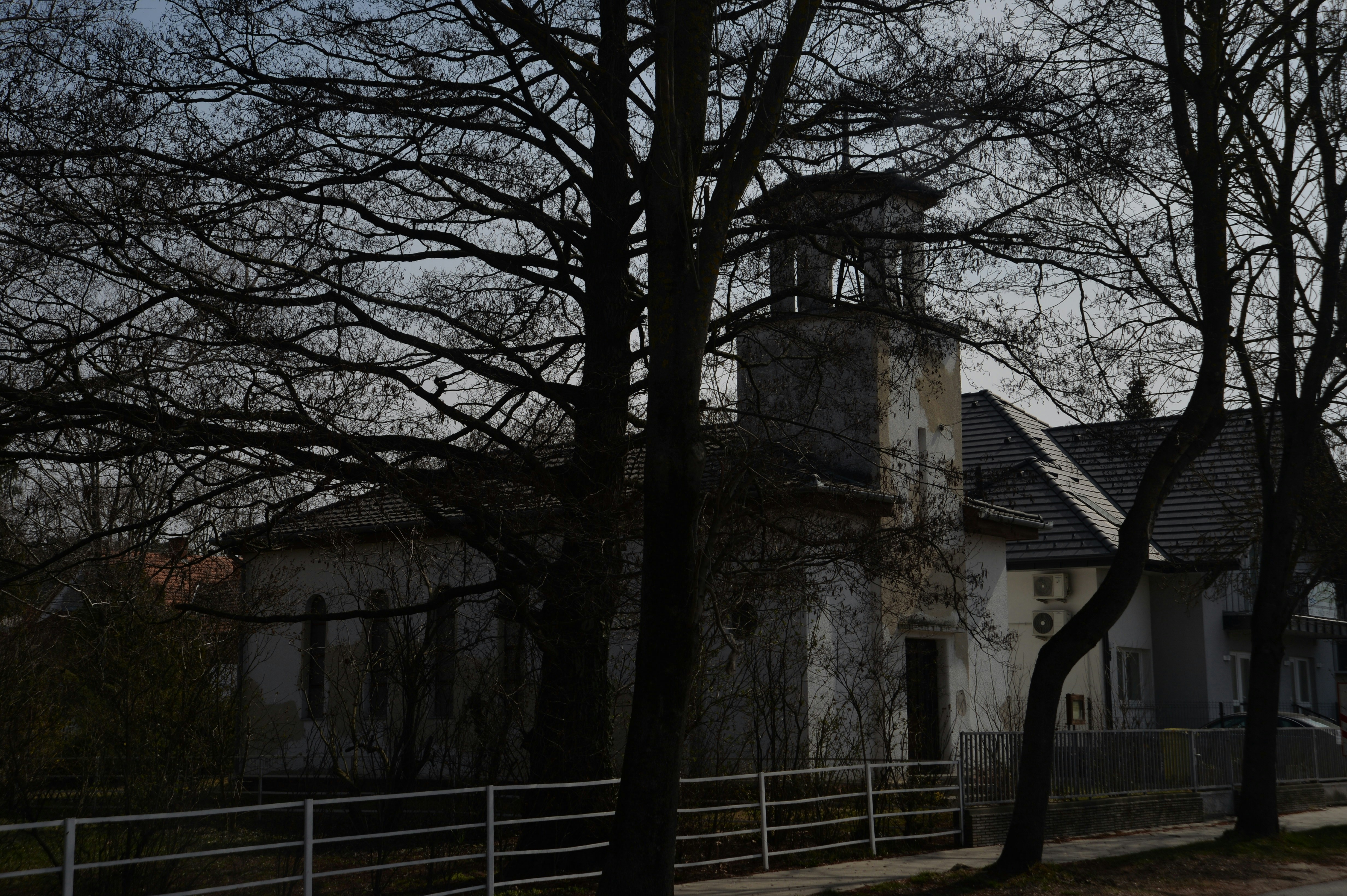 Photo by baliko_andras