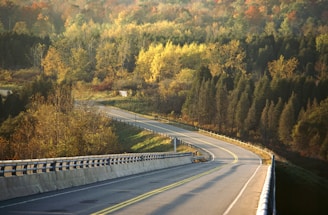 A scenic road winding through a lush national park with autumn colors.