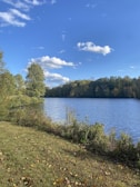A peaceful nature scene with a calm lake and lush greenery.