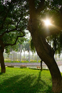 A serene outdoor scene in Pittsburgh, showing a quiet park with gentle sunlight.