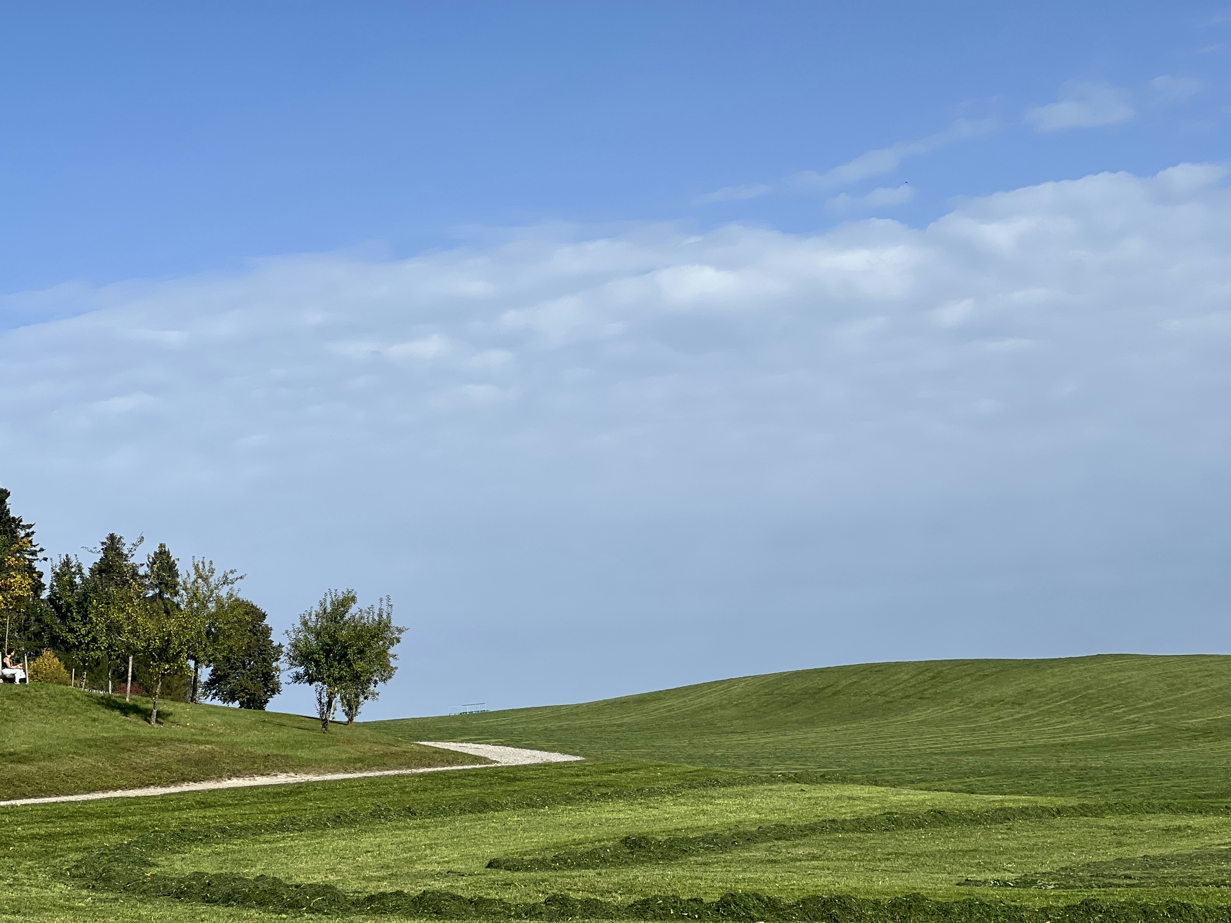 Photo by ioanavalentina