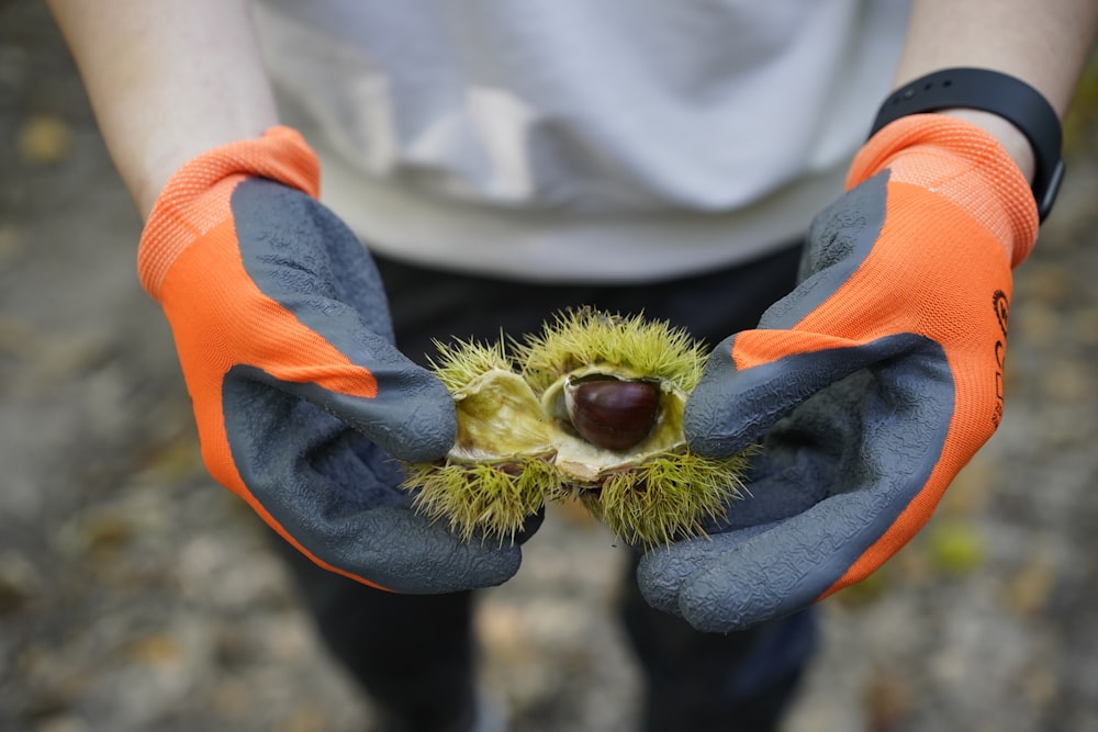 a person holding a piece of fruit in their hands