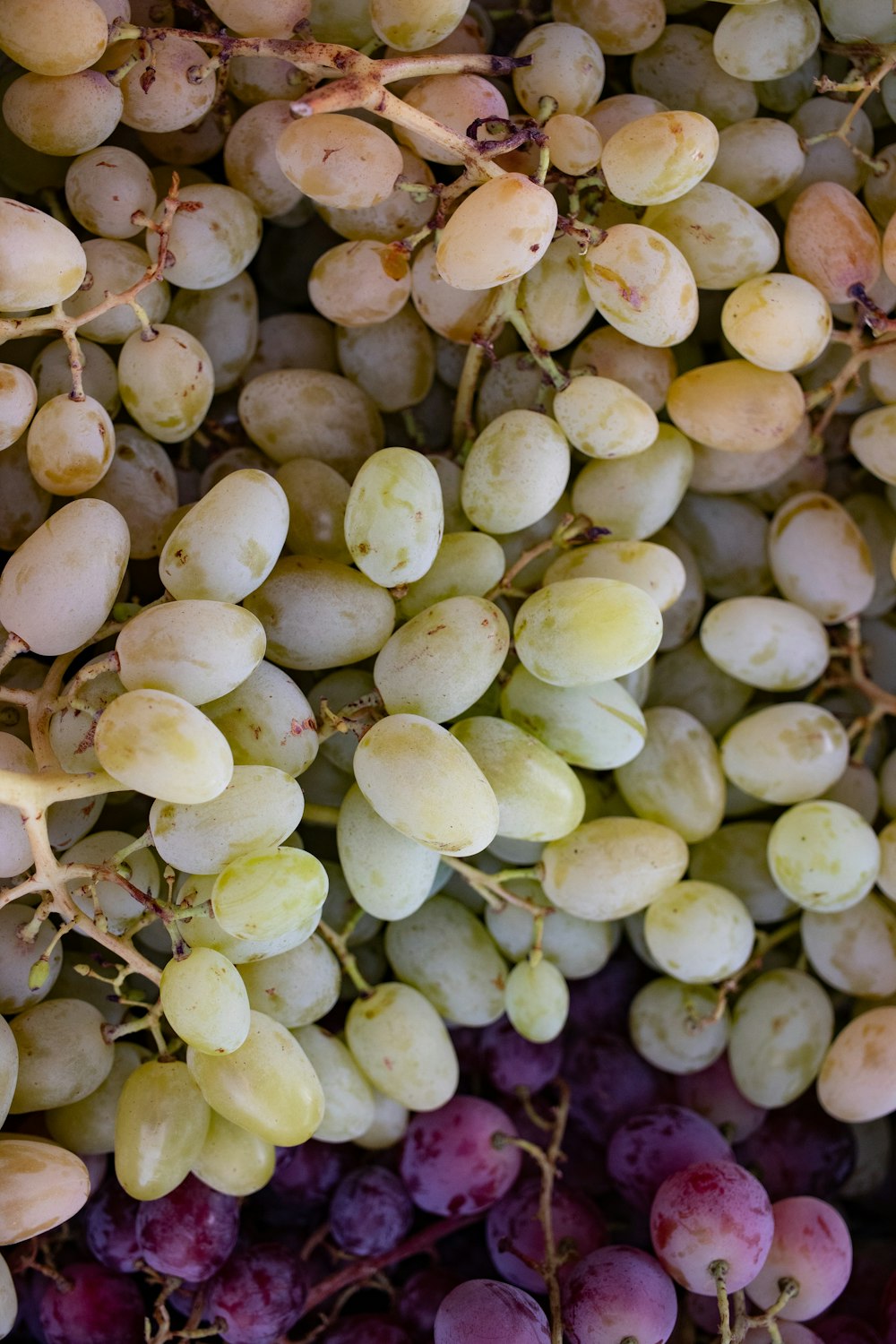 a bunch of white grapes sitting on top of a table
