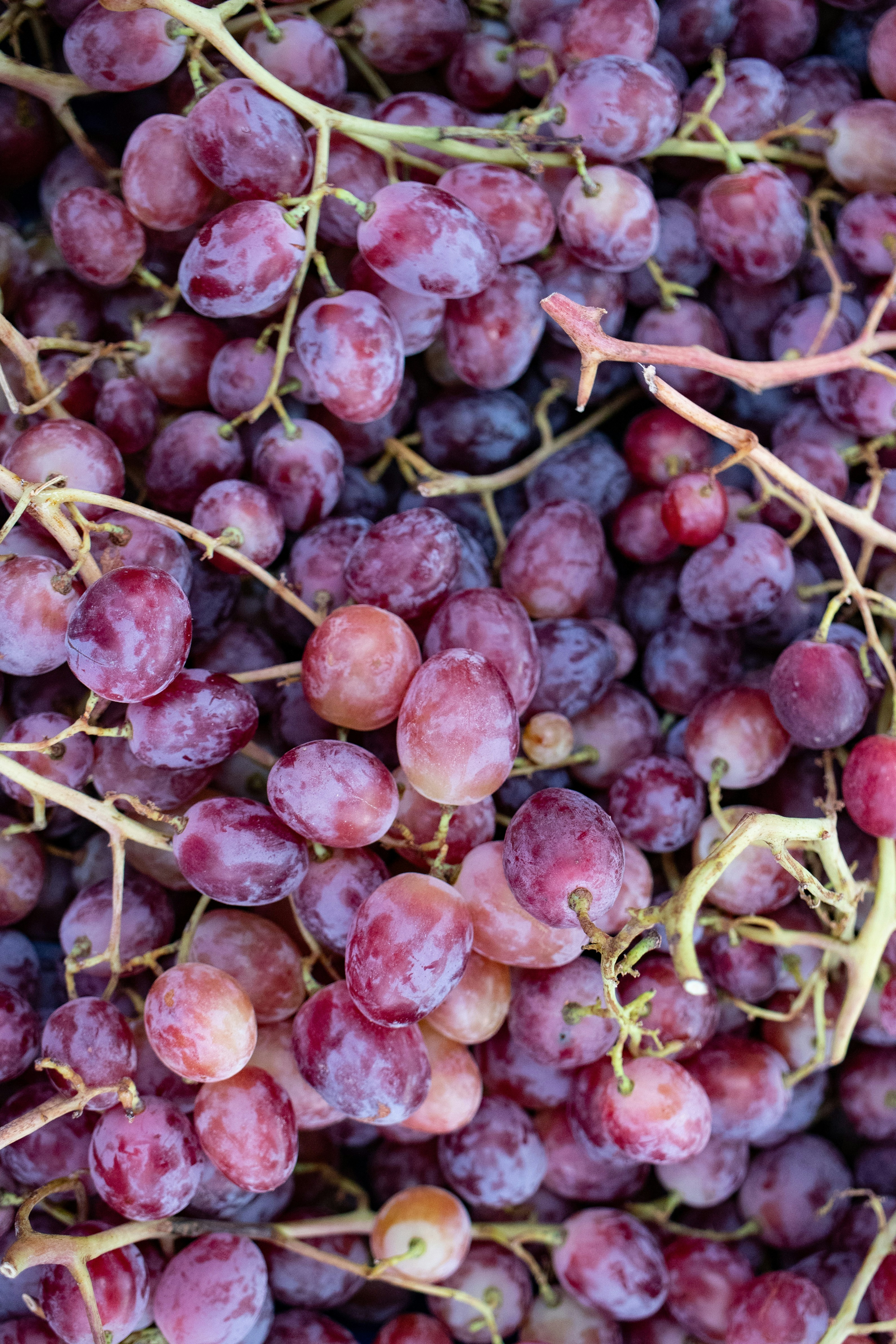 Photo by supardisign