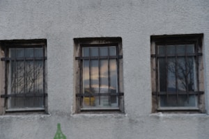 Three barred windows are set into a rough, gray concrete wall. Each window reflects the imagery of an outdoor scene that includes trees and a sunset or sunrise. The reflections create a juxtaposition of the stark exterior with the softer, natural elements. Below the windows, a faint green paint mark is visible, possibly a graffiti or a stain.