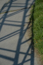 Shadows of a geometric structure are cast on a concrete pathway, adjacent to a patch of green grass.