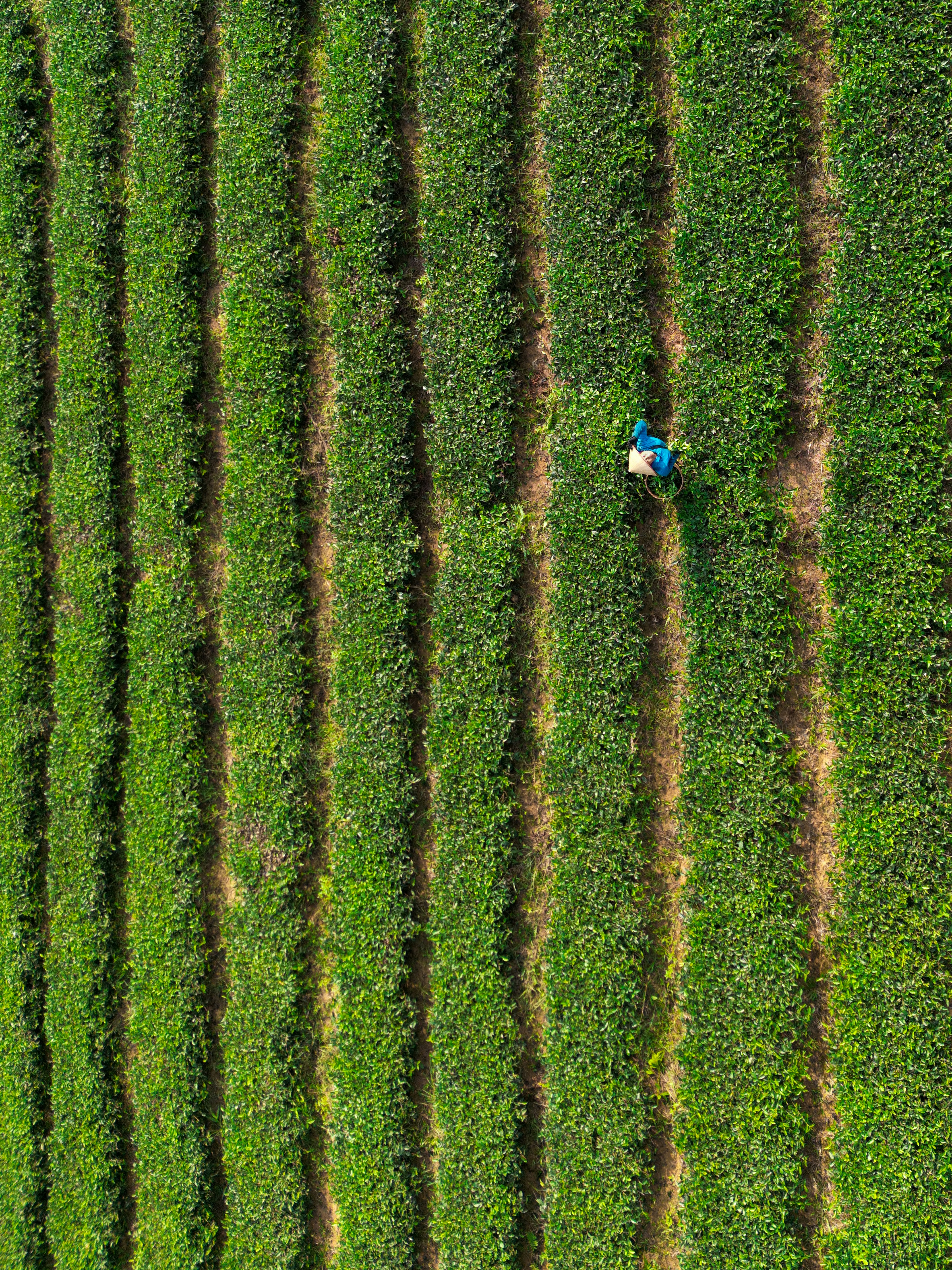 Photo by yannick_apollon