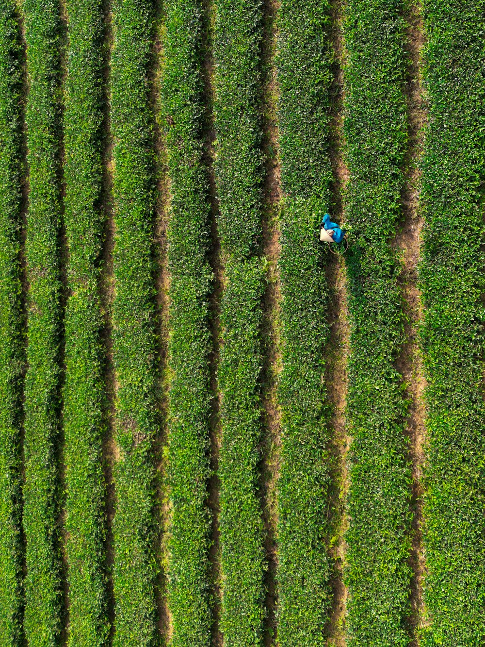 an aerial view of a farmer in a field