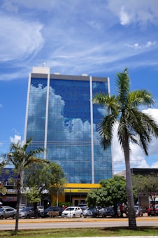 A tall, modern office building with a glass facade reflecting the blue sky and clouds. The structure is surrounded by palm trees and parked cars lining the street below. A commercial sign associated with a popular bank is visible.