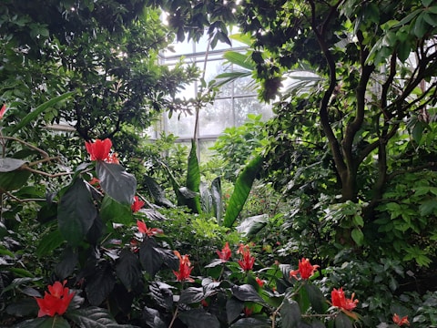 A ceiling adorned with cascading green plants and delicate white flowers creating a rainforest ambiance.