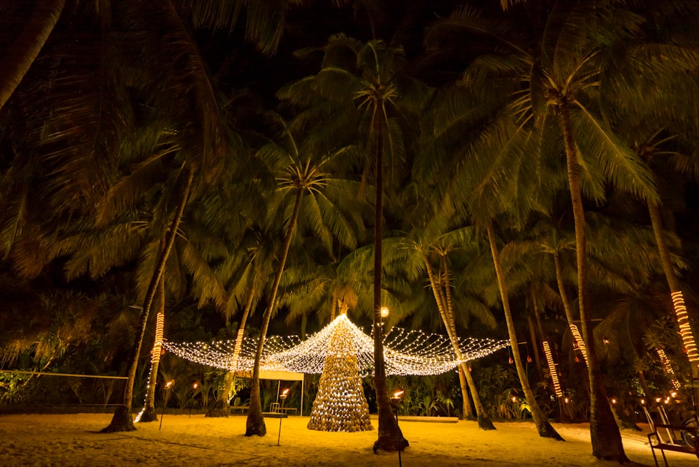 a beach covered in lots of palm trees