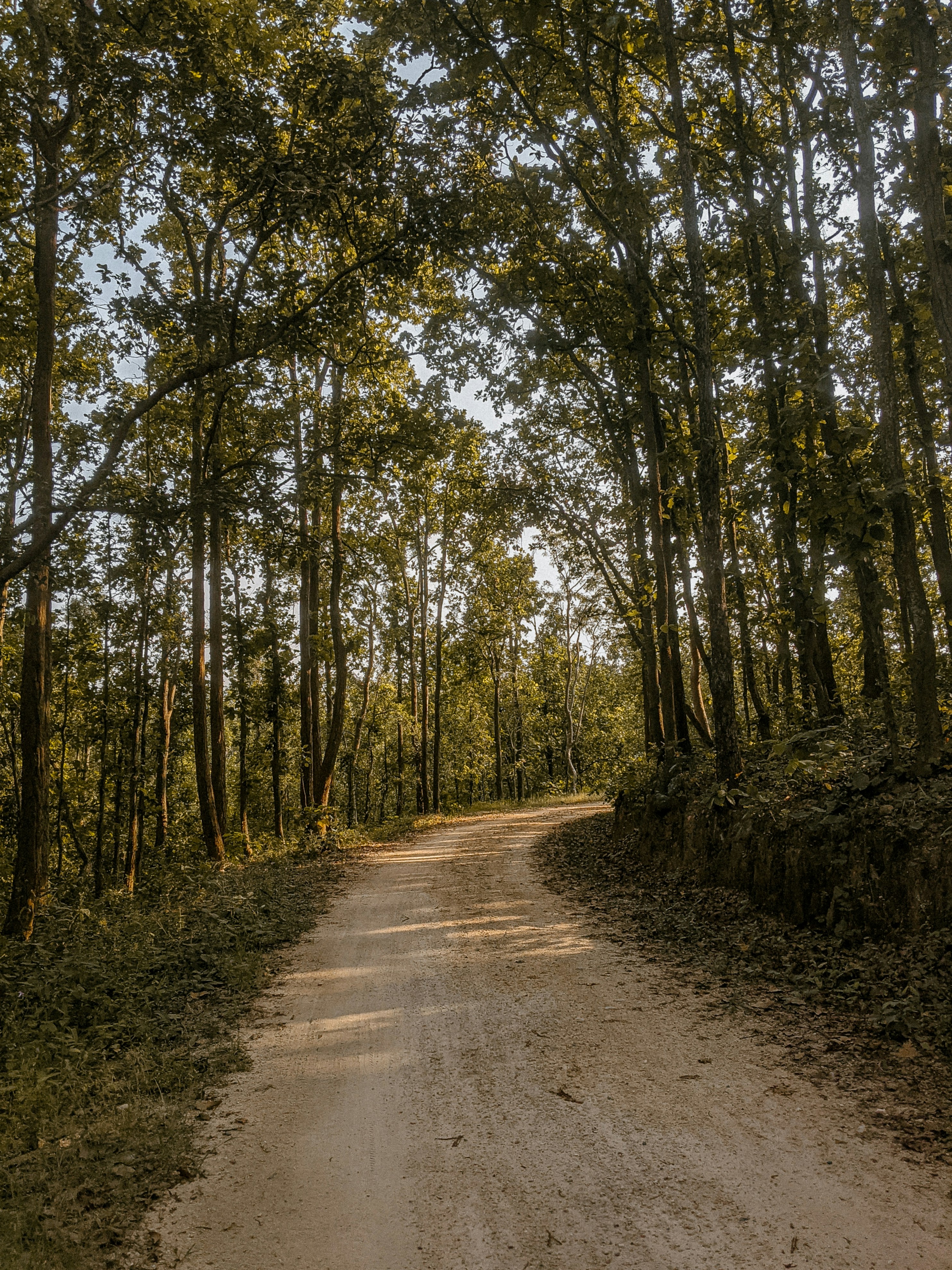 Photo by shubhgupta07