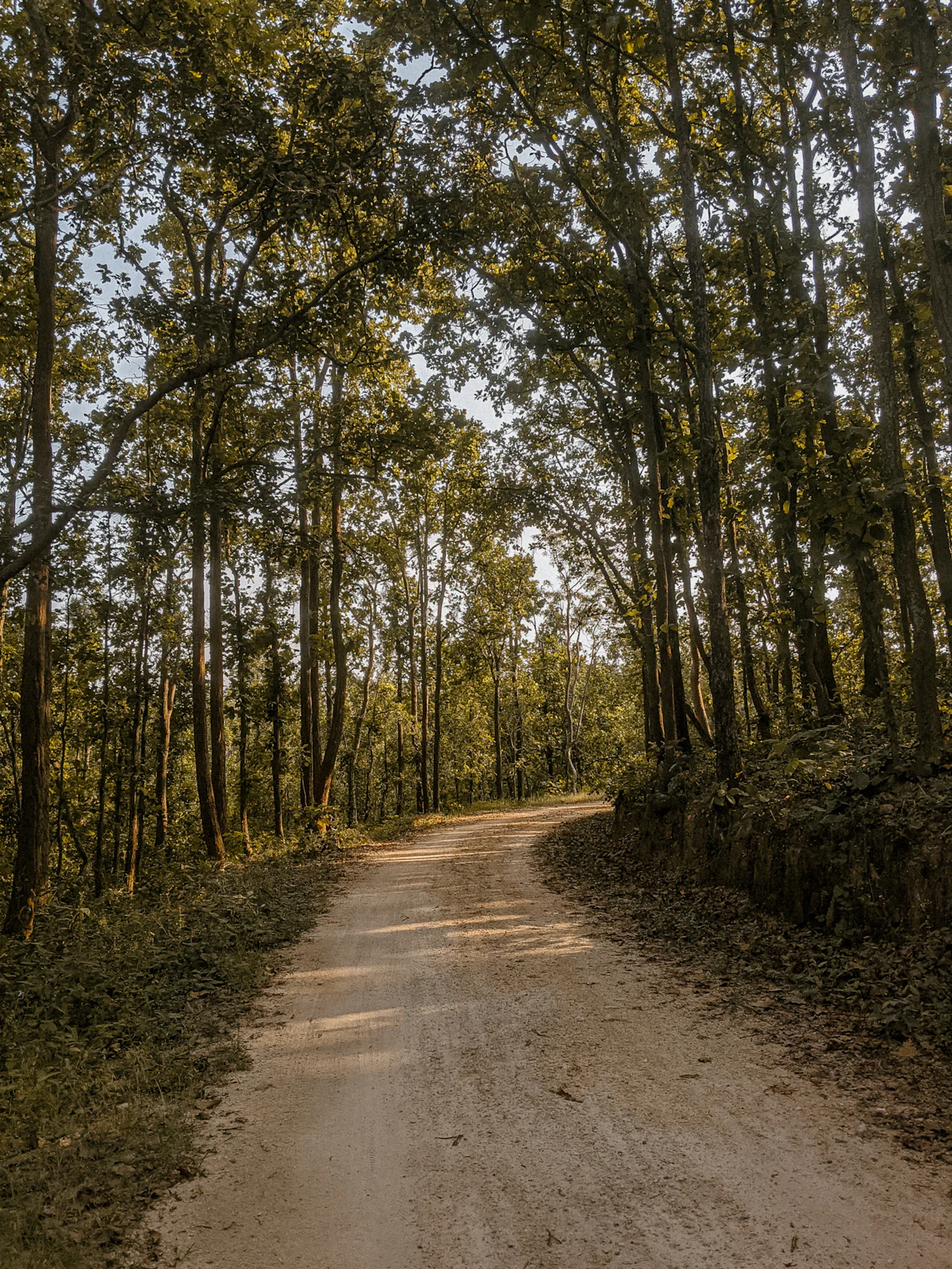 Hazaribagh NP