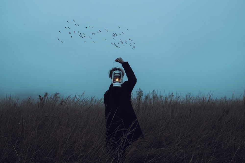 a person standing in a field with birds flying overhead