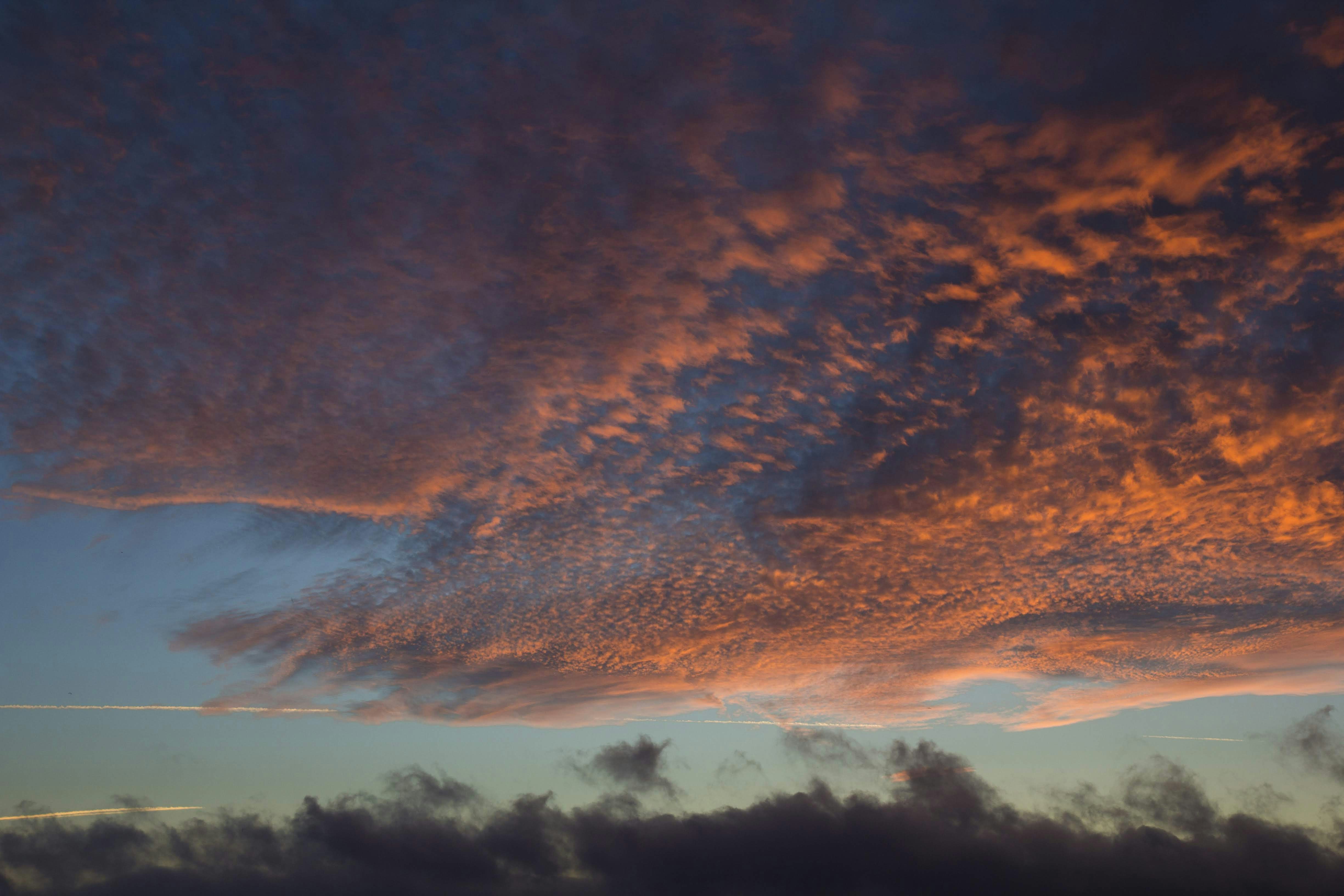 Photo by lfcsfilipesousa