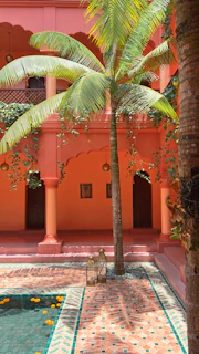 Sunlit courtyard with traditional Indian decor and vibrant flowers at Shree Radharani Palace