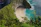 Couple enjoying a secluded beach with turquoise waters and lush greenery