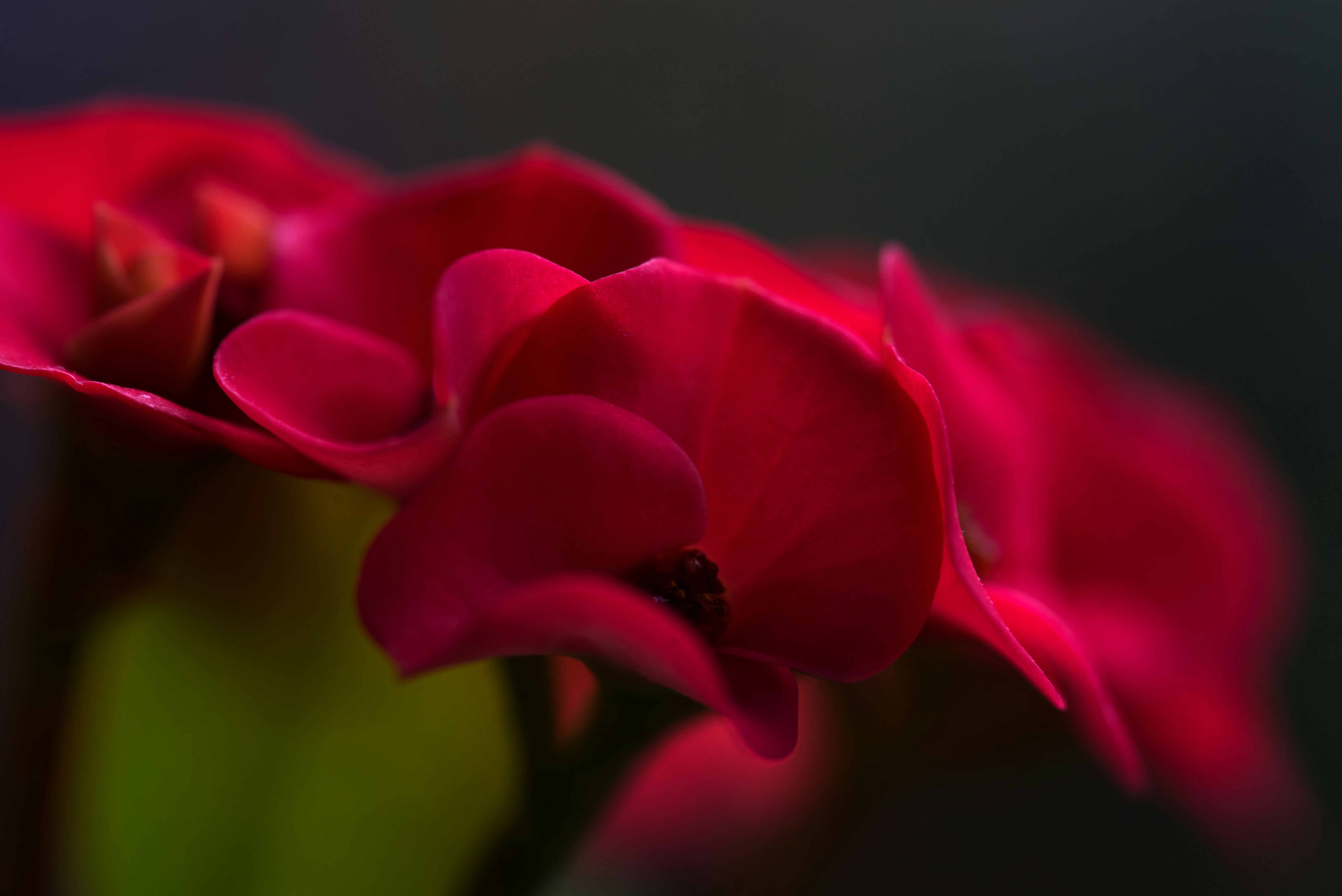 Photo by swimstaralex