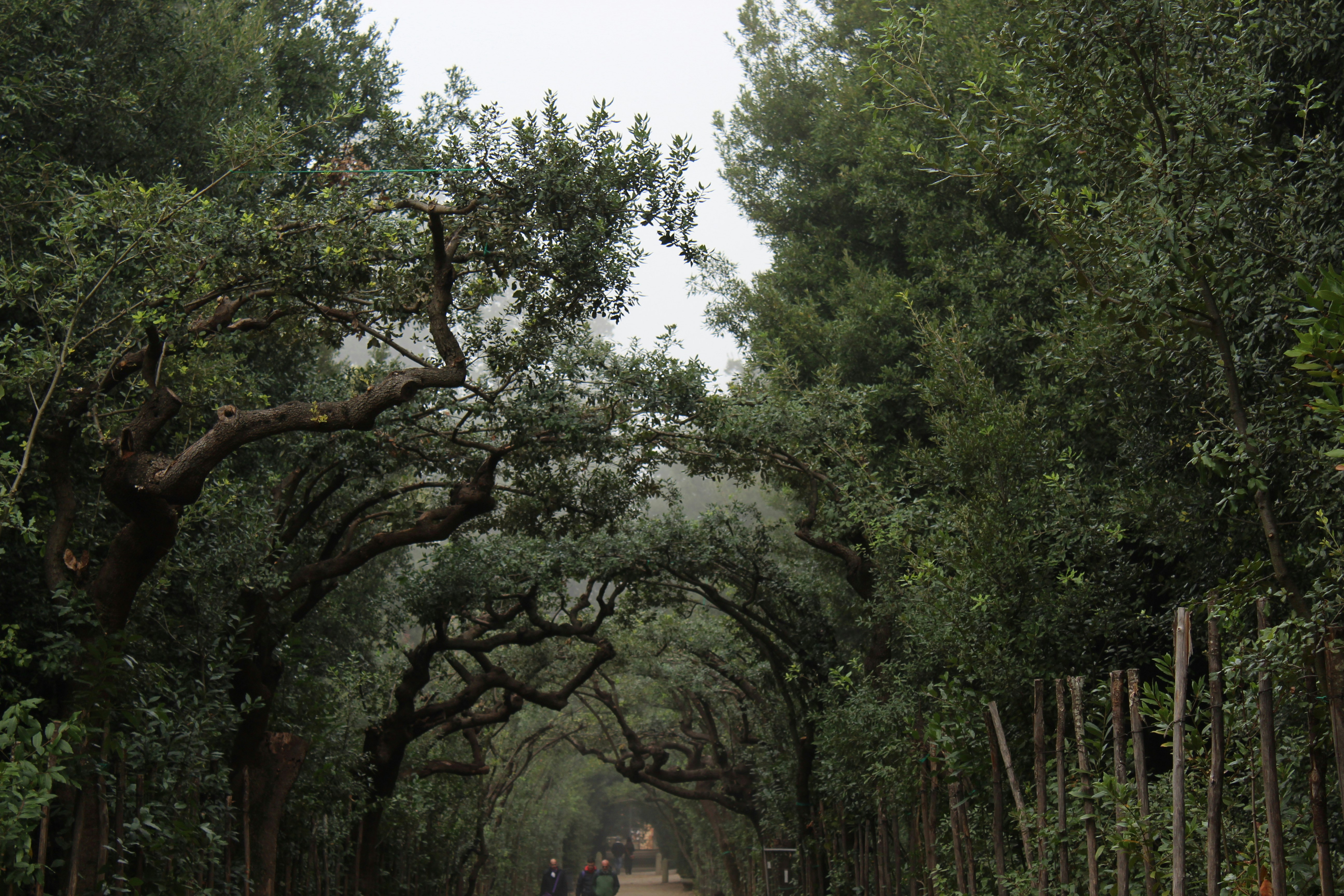 柳州网站建设桂林