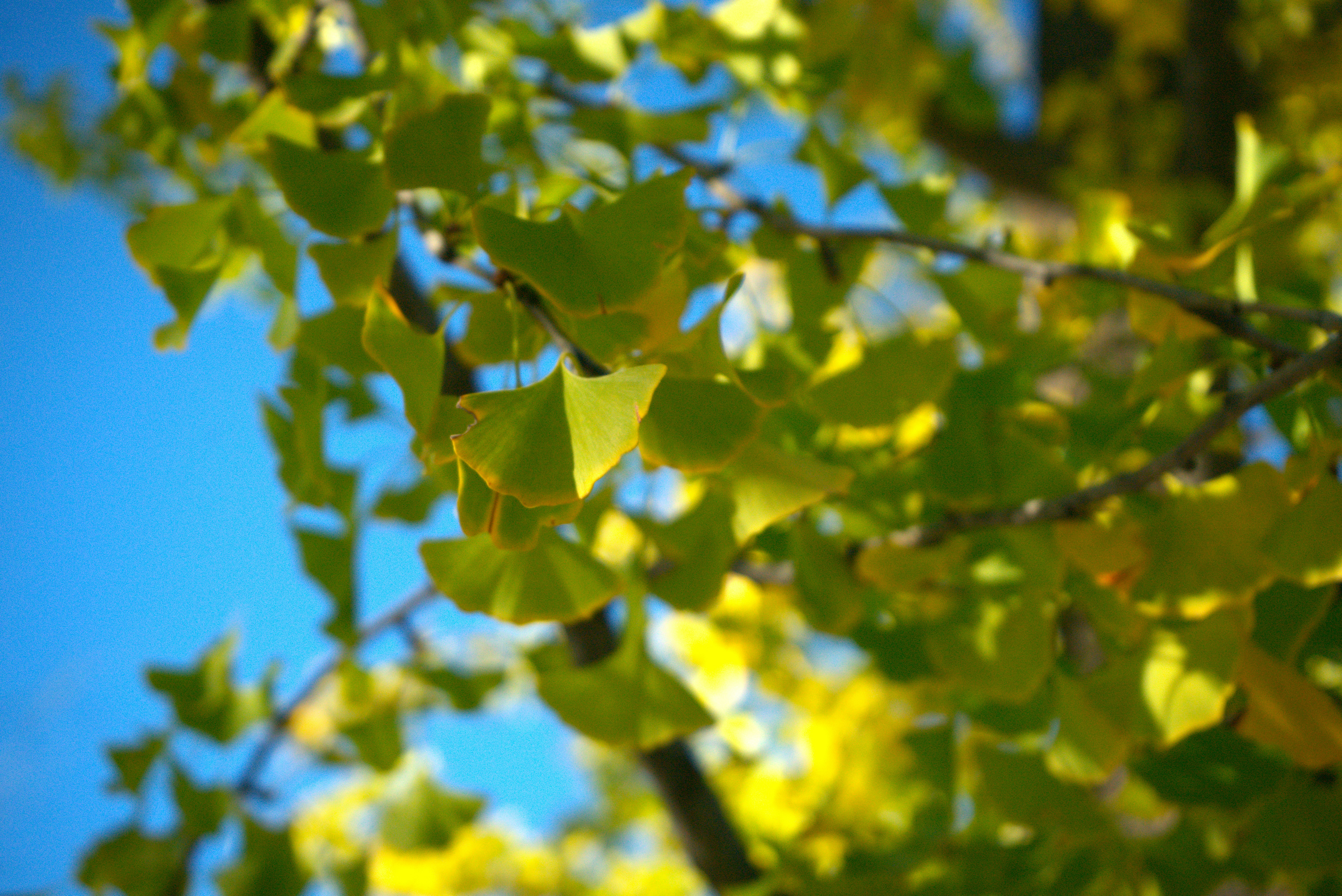 Photo by shangliukeji