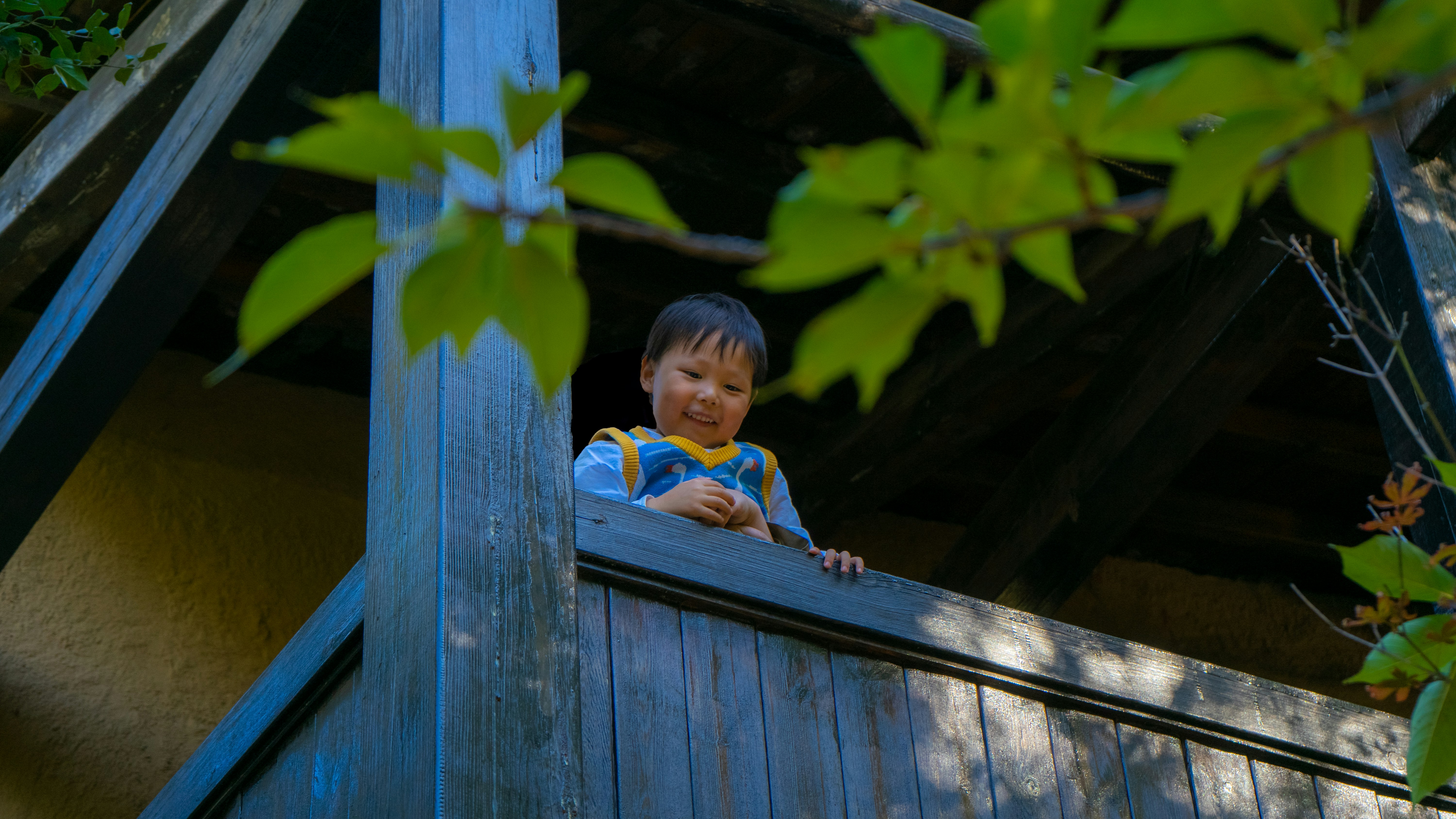 Photo by shangliukeji