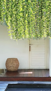 A cozy balcony door with a minimalist insect screen blending with green plants outside.