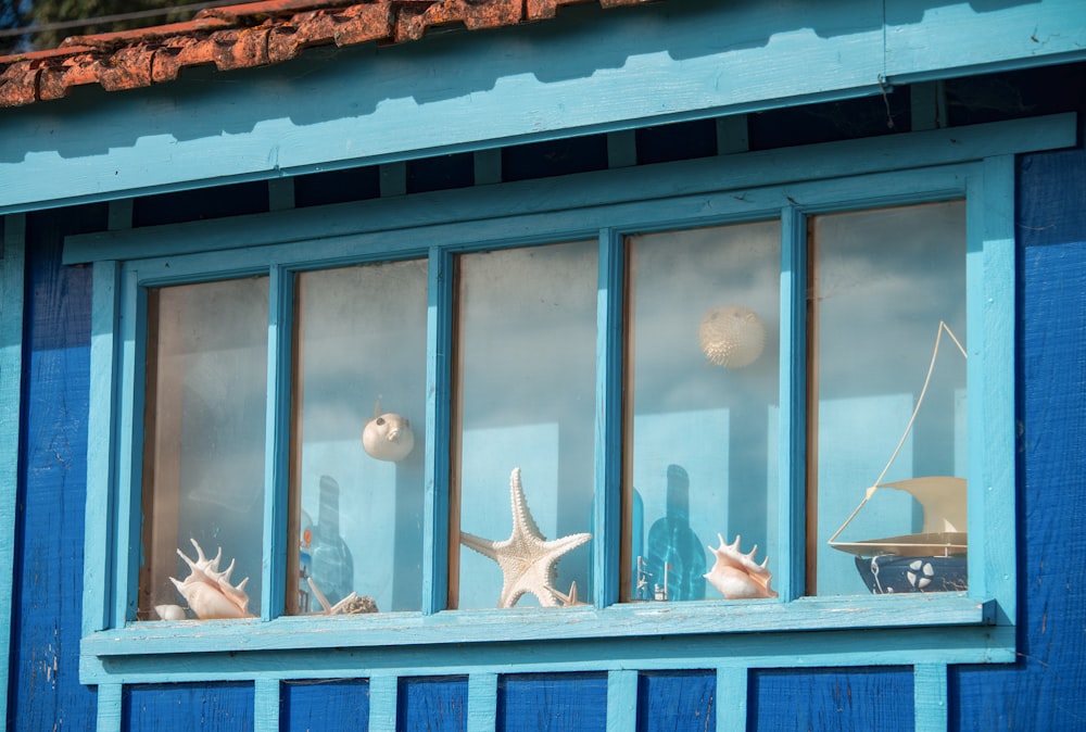 a blue building with a window with shells in it