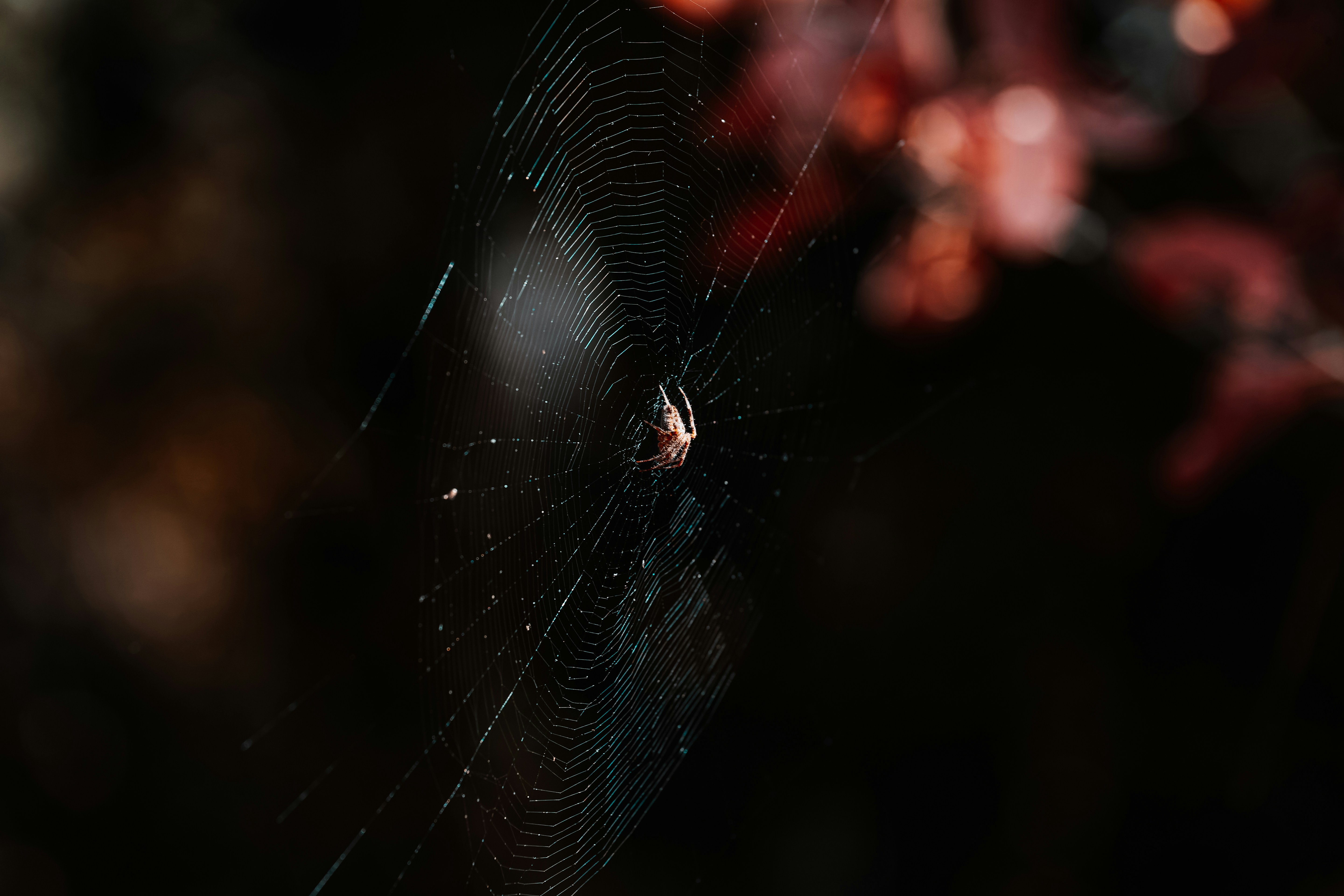 woman wearing yellow long-sleeved dress under white clouds and blue sky during daytime