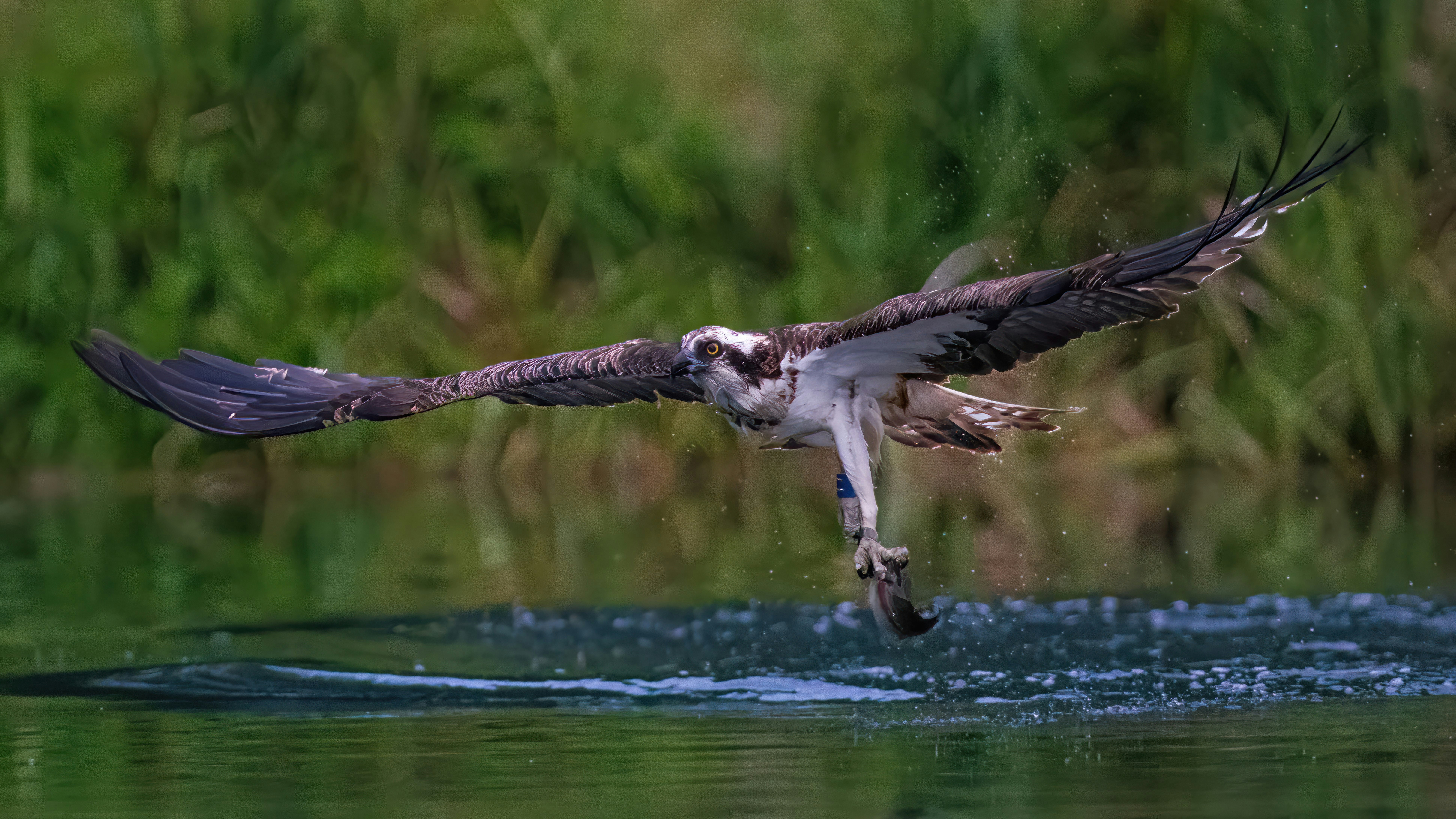 Photo by rjcbradford