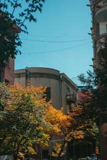 A vibrant photo of a city street scene, capturing the inspiration behind a recent blog post.