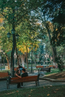 A serene park setting with several wooden benches placed along paved pathways. Tall trees with lush green foliage border the paths, allowing dappled sunlight to filter through. People are seated on the benches, enjoying the peaceful surroundings. A couple is engaged in a conversation on the front bench, adding to the tranquil atmosphere. Vintage-style street lamps line the walkway, enhancing the overall charm of the scene.