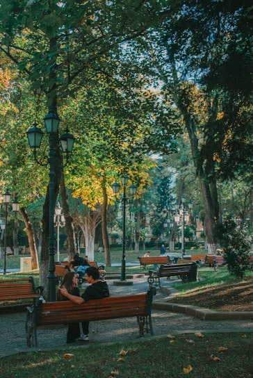 A serene park setting where couples are enjoying meaningful conversations.