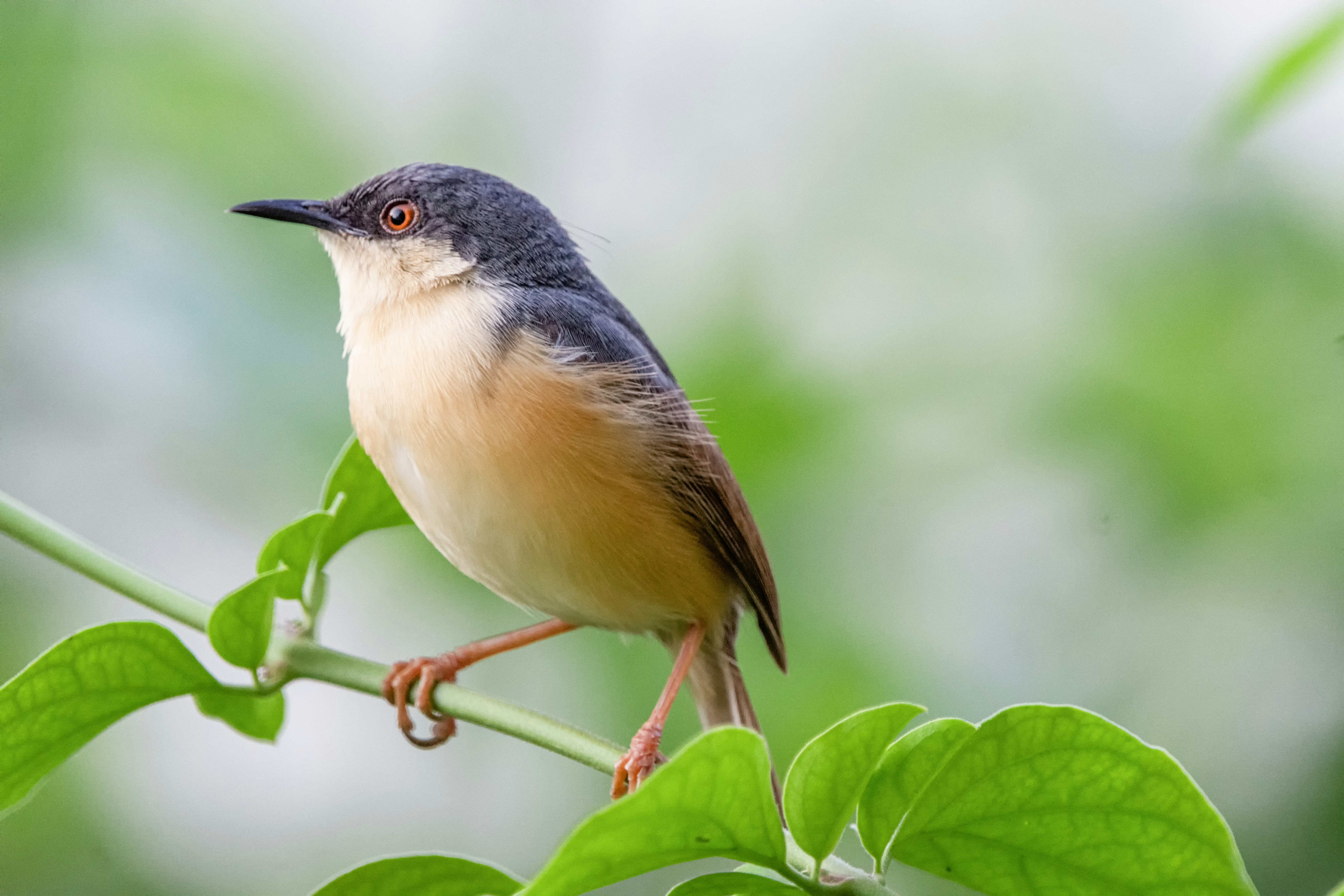 Photo by vishnumohan0311