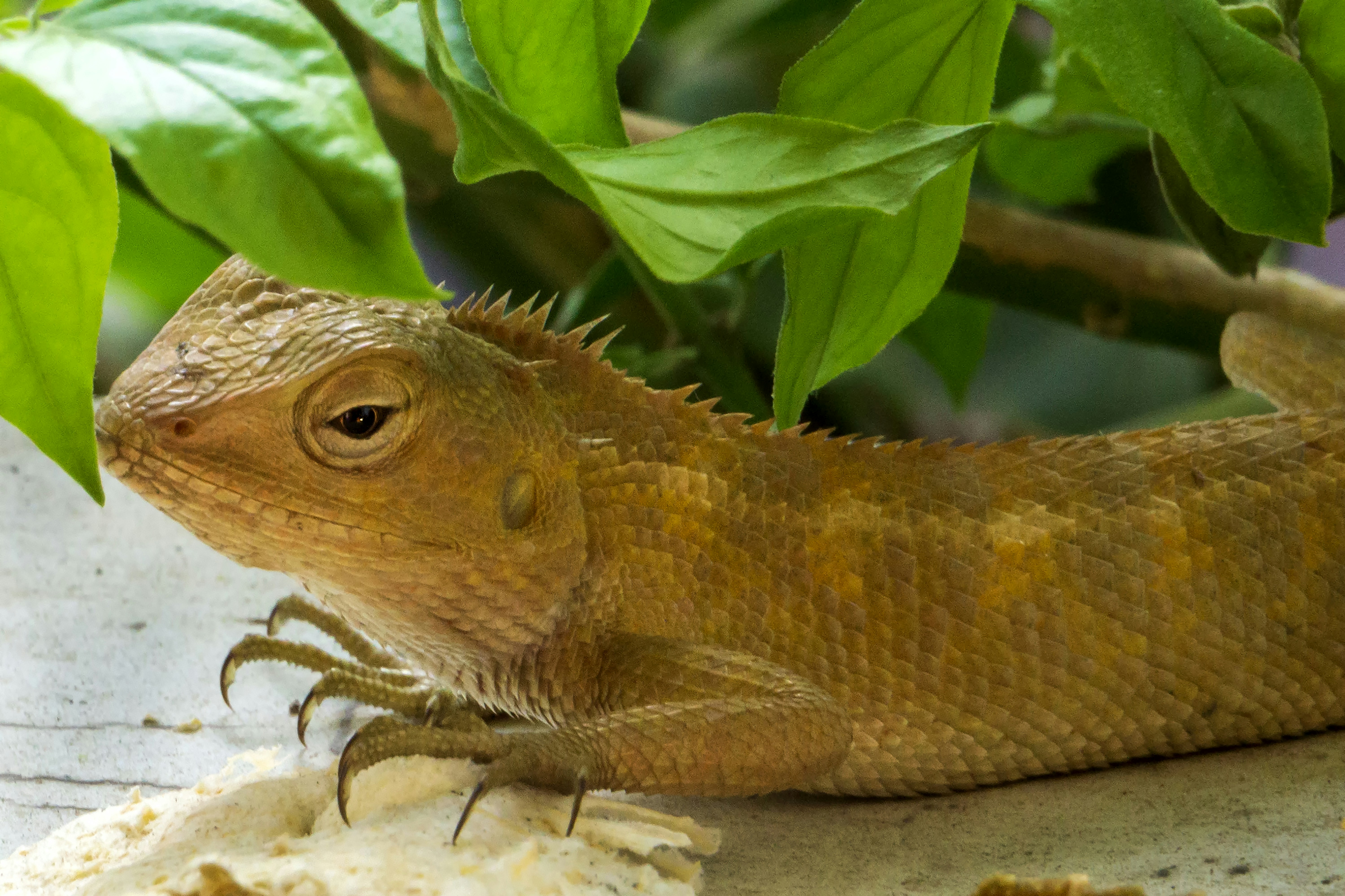 Photo by vishnumohan0311