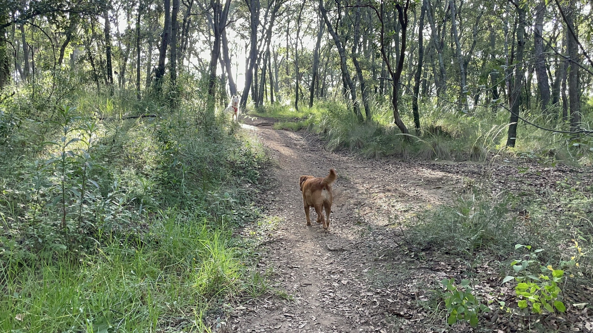 gray computer monitor