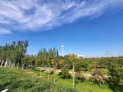 A vibrant photo of a green chemical plant surrounded by lush trees under a clear blue sky.